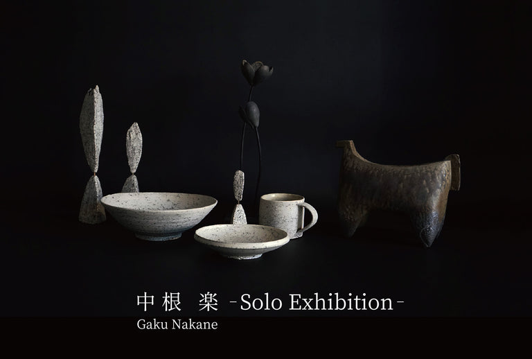 中根 楽-Solo Exhibition-